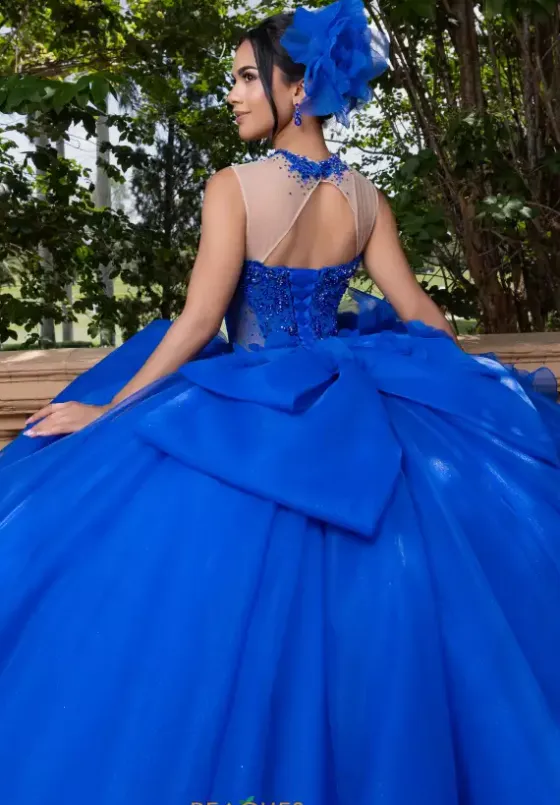 Plus Sized Quince Dresses|Sweet Sixteen^Vizcaya Quinceanera 4080012