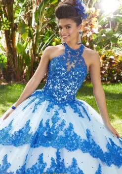 Plus Sized Quince Dresses|Sweet Sixteen^Vizcaya Quinceanera 34014