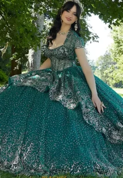 Sweet Sixteen|Plus Sized Quince Dresses^Vizcaya Quinceanera 89452