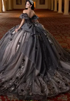 Sweet Sixteen|Plus Sized Quince Dresses^Vizcaya Quinceanera 4080022