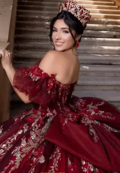 Sweet Sixteen|Plus Sized Quince Dresses^Vizcaya Quinceanera 4080022