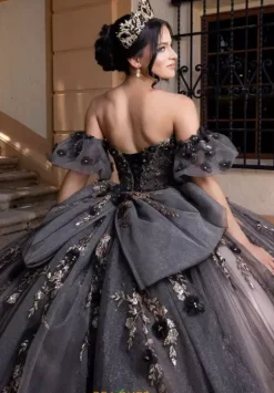 Sweet Sixteen|Plus Sized Quince Dresses^Vizcaya Quinceanera 4080022