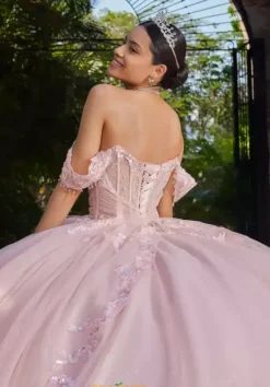Sweet Sixteen|Plus Sized Quince Dresses^Vizcaya Quinceanera 89561