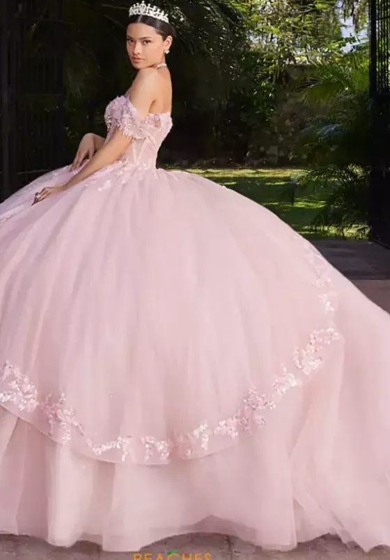 Sweet Sixteen|Plus Sized Quince Dresses^Vizcaya Quinceanera 89561