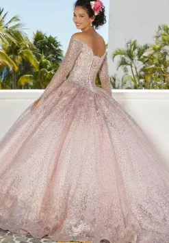 Sweet Sixteen|Plus Sized Quince Dresses^Vizcaya Quinceanera 89355