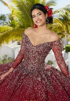 Sweet Sixteen|Plus Sized Quince Dresses^Vizcaya Quinceanera 89355