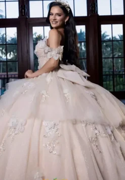 Plus Sized Quince Dresses|Sweet Sixteen^Vizcaya Quinceanera 4080017