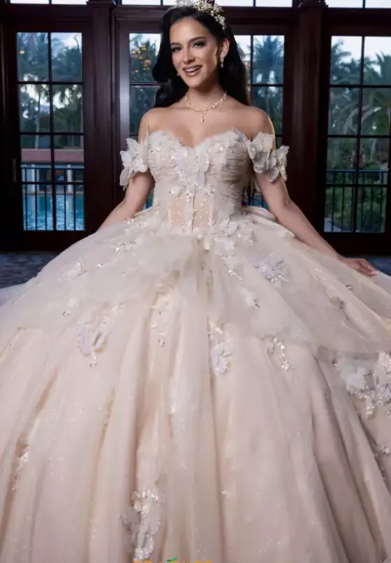 Plus Sized Quince Dresses|Sweet Sixteen^Vizcaya Quinceanera 4080017