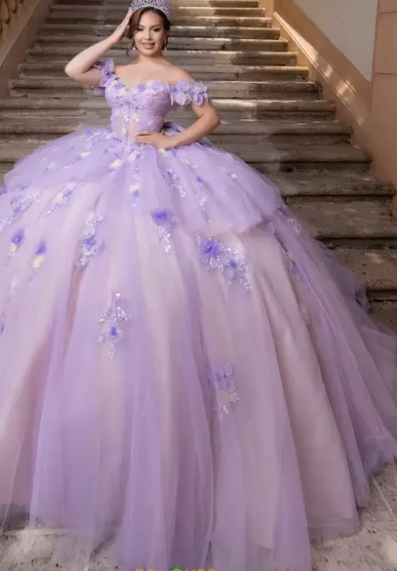 Plus Sized Quince Dresses|Sweet Sixteen^Vizcaya Quinceanera 4080017