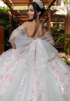 Plus Sized Quince Dresses|Sweet Sixteen^Vizcaya Quinceanera 4080001