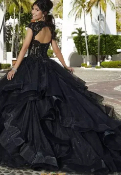 Plus Sized Quince Dresses|Sweet Sixteen^Vizcaya Quinceanera 60161