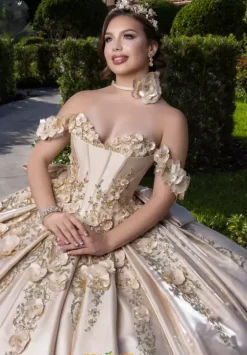 Plus Sized Quince Dresses|Sweet Sixteen^Vizcaya Quinceanera 4080033