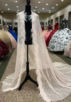 Long Dresses|Pageant^Vizcaya Quinceanera 89348