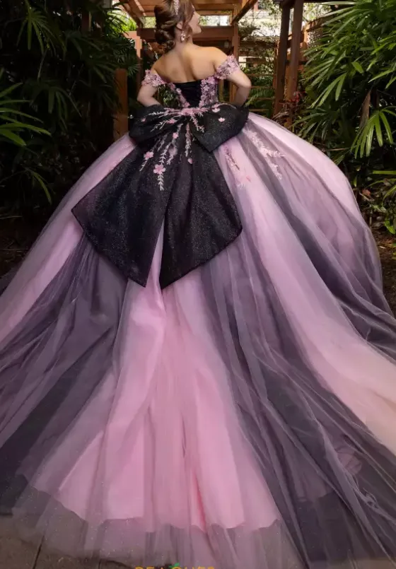 Plus Sized Quince Dresses|Sweet Sixteen^Vizcaya Quinceanera 4080018