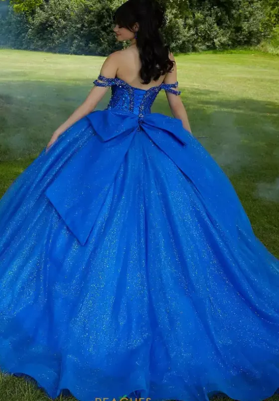 Sweet Sixteen|Plus Sized Quince Dresses^Vizcaya Quinceanera 89453