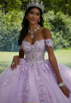 Sweet Sixteen|Plus Sized Quince Dresses^Vizcaya Quinceanera 89454