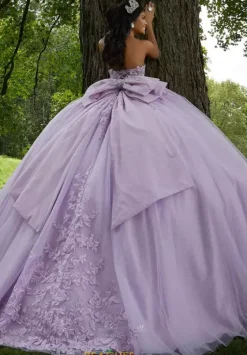 Sweet Sixteen|Plus Sized Quince Dresses^Vizcaya Quinceanera 89454