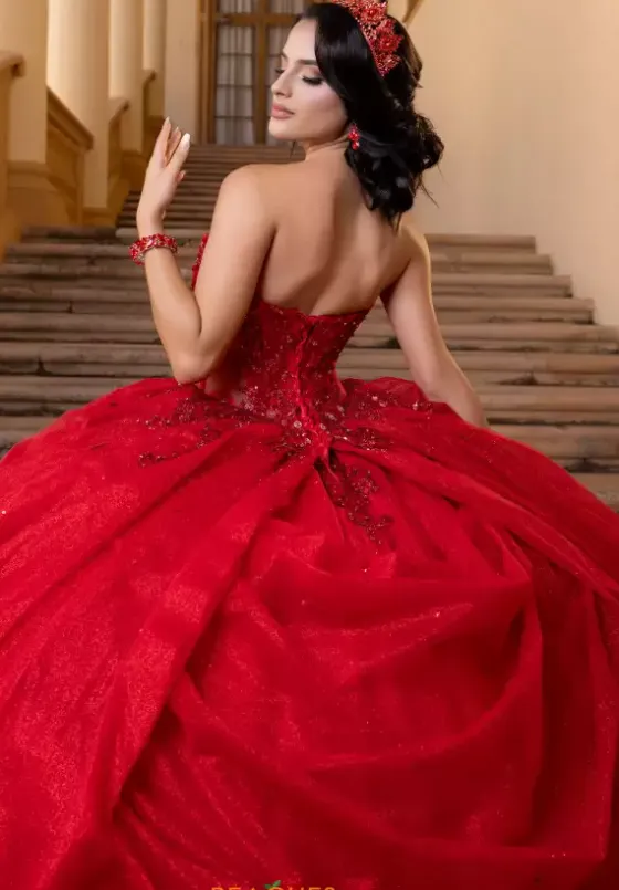Plus Sized Quince Dresses|Sweet Sixteen^Vizcaya Quinceanera 4080019