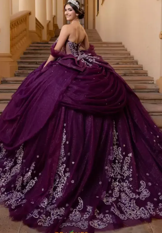 Plus Sized Quince Dresses|Sweet Sixteen^Vizcaya Quinceanera 4080019