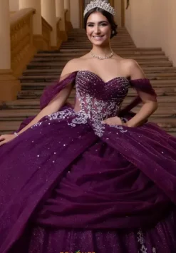 Plus Sized Quince Dresses|Sweet Sixteen^Vizcaya Quinceanera 4080019