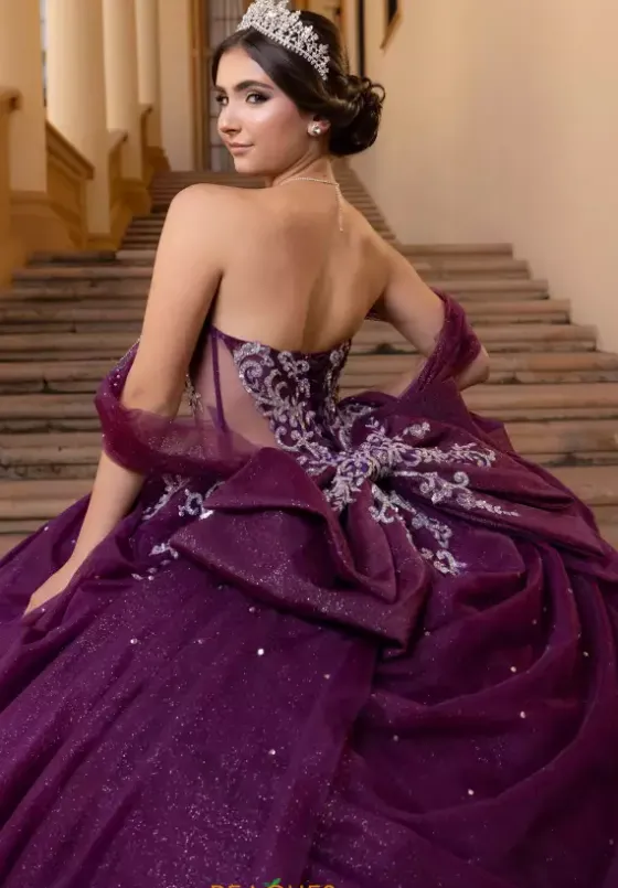Plus Sized Quince Dresses|Sweet Sixteen^Vizcaya Quinceanera 4080019