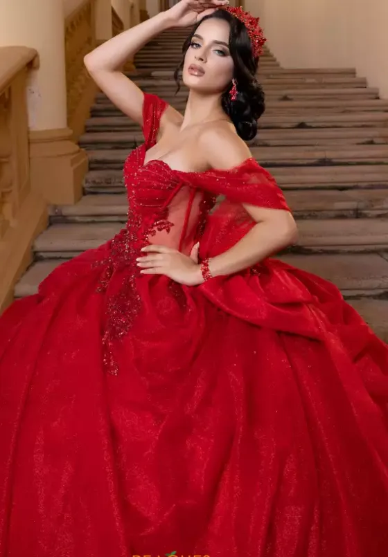 Plus Sized Quince Dresses|Sweet Sixteen^Vizcaya Quinceanera 4080019